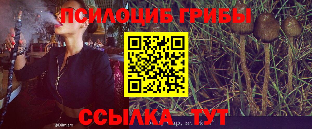 Каннабис Анапа