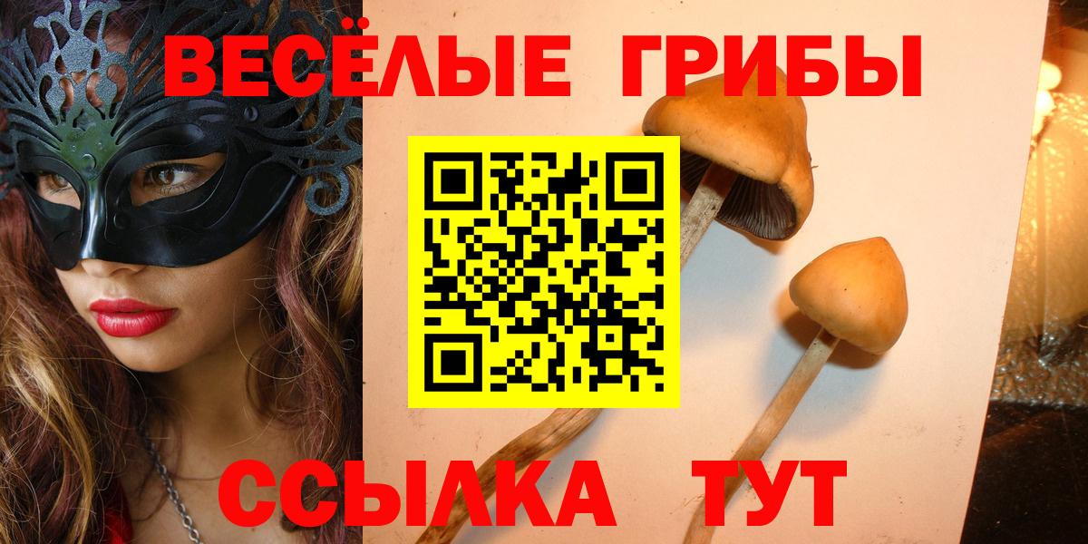 Псилоцибиновые грибы мицелий Анапа