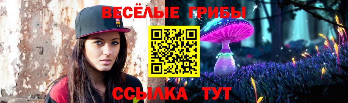 Анапа  Псилоцибиновые грибы мицелий  Вход с VPN 